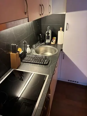 a kitchen with a sink and a counter top at Wooden Cabin in Ljubljana in Ljubljana