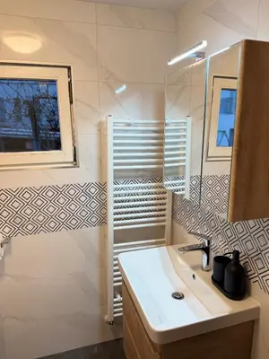 a bathroom with a sink and a mirror at Wooden Cabin in Ljubljana in Ljubljana