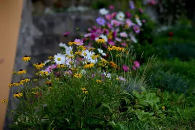a bunch of flowers in a garden at Tourist Farm Arbajter in Resnik