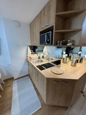 a kitchen with a sink and a counter top at Sunflower in Kranjska Gora