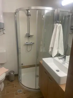 a bathroom with a shower and a sink at Sunflower in Kranjska Gora