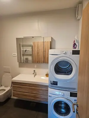 a washing machine in a bathroom next to a sink at APARTMENTS MURIC LJubljana in Ljubljana