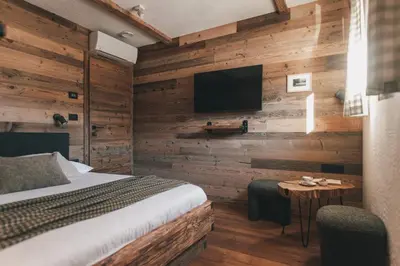 a bedroom with wooden walls and a bed and a tv at Domačija Majer'ca in Bohinj