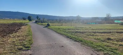 a bird sitting on the side of a road at apartma Kiana in Šempeter pri Gorici