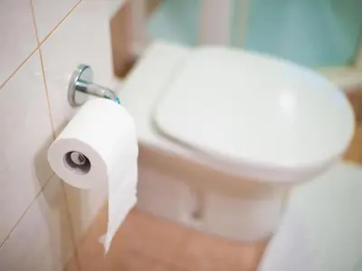 a bathroom with a toilet and a roll of toilet paper at Apartment Appartement in Zasip mit Möblierter Terrasse by Interhome in Bled