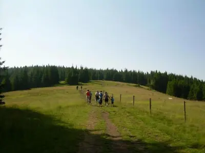 a group of people walking down a dirt road in a field at Apartment Wohnung Rozika by Interhome in Slovenj Gradec