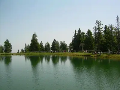 a large body of water with trees in the background at Apartment Wohnung Rozika by Interhome in Slovenj Gradec