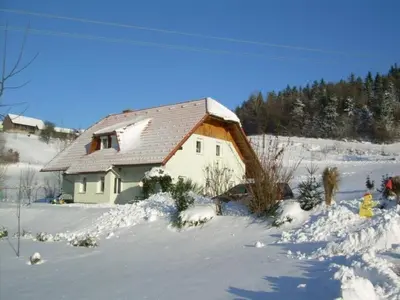 a house in the snow with snow on the ground at Apartment Wohnung Rozika by Interhome in Slovenj Gradec