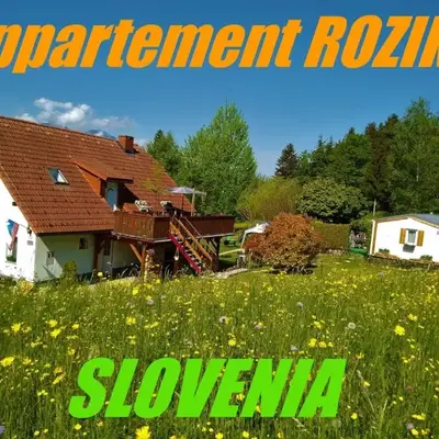 Apartment Wohnung Rozika by Interhome