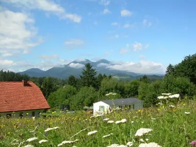 a field of flowers with mountains in the background at Apartment Stacaravan Rozika Slowenien by Interhome in Slovenj Gradec