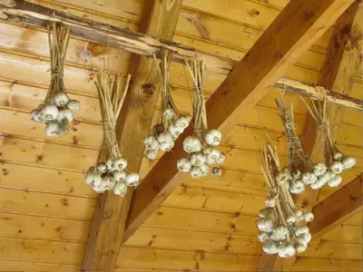 a bunch of onions hanging from a ceiling at Holiday Home Geräumiges Ferienhaus inmitten der Natur by Interhome in Dolenja Trebuša