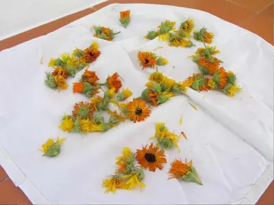 a white cake with flowers on top of it at Holiday Home Geräumiges Ferienhaus inmitten der Natur by Interhome in Dolenja Trebuša