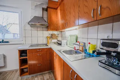 a kitchen with wooden cabinets and a sink at Casa Termalis in Terme Čatež in Brežice
