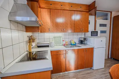 a kitchen with wooden cabinets and a white refrigerator at Casa Termalis in Terme Čatež in Brežice