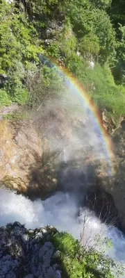 a rainbow over a river with water and grass at Apartma Žvan in Bled