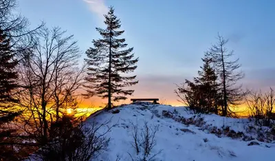 a bench on top of a snow covered hill with trees at Apartmaji nad potokom in Železniki