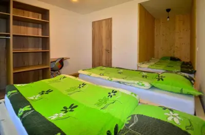 two beds in a room with green blankets at Apartmaji nad potokom in Železniki
