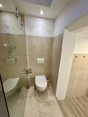 a bathroom with a toilet and a shower at New LunarGlow 3-room Apartment with free parking in Ljubljana