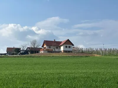 a house sitting on top of a green field at Iža na brejgi in Moravske Toplice
