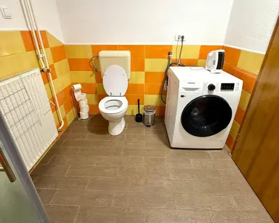 a bathroom with a washing machine and a toilet at Pija's apartment, a quiet getaway close to Ljubljana in Vrhnika