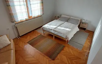 a bedroom with a bed and a couch and wooden floors at Being eco in Ljubljana in Ljubljana
