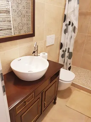 a bathroom with a sink and a toilet at Apartments Artorius Laško in Laško
