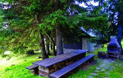 a bench sitting in the grass next to a tree at Apartment Cokla Rogla in Zreče