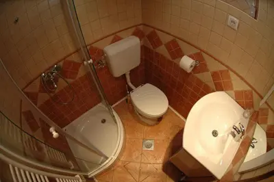 a bathroom with a shower and a toilet and a sink at Apartment Cokla Rogla in Zreče
