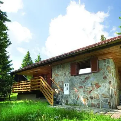 Apartment Cokla Rogla