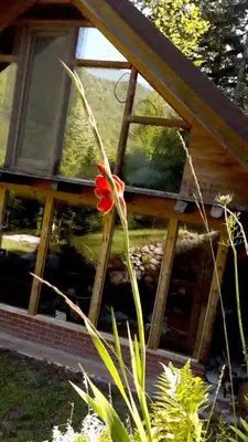 a red flower in front of a house at Wild Art Wooden house in Ig