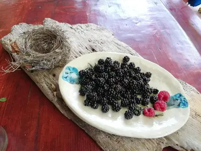 a plate of blackberries and raspberries on a table at Wild Art Wooden house in Ig