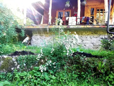 a house with a porch and flowers in front of it at Wild Art Wooden house in Ig