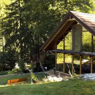 Wild Art Wooden house