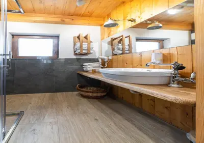 a bathroom with a sink and a wooden wall at Glamping Podgoro - Rogatec in Rogatec