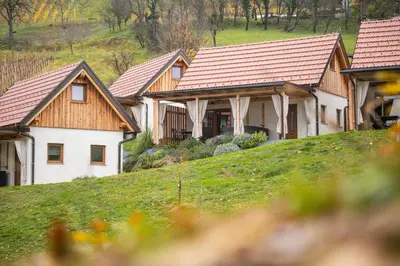 a row of houses on a grassy hill at Glamping Podgoro - Rogatec in Rogatec