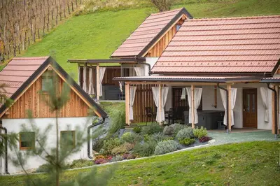 a house with a roof and a yard with plants at Glamping Podgoro - Rogatec in Rogatec