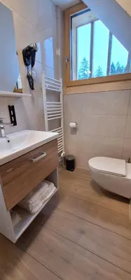 a bathroom with a sink and a toilet and a window at Gostišče Jezersko in Zgornje Jezersko