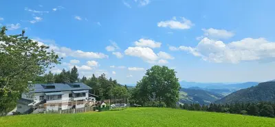 a house sitting on top of a green hill at Apartment Milan in Zreče