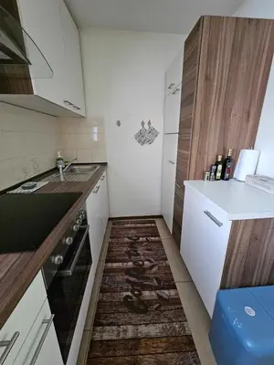 a small kitchen with a sink and a counter at Loginn Vic in Ljubljana