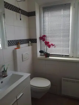a bathroom with a toilet and a sink and a window at vintage paradise near Kranjska Gora in Mojstrana