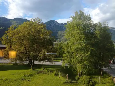 a green field with two trees and a street at vintage paradise near Kranjska Gora in Mojstrana