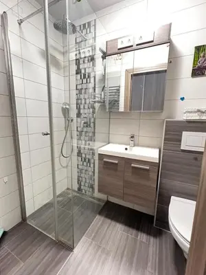 a bathroom with a shower and a sink at D&D Sunny Ljubljana apartment in Vič