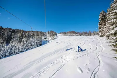 a person flying a kite on a snow covered slope at APARTMENTS ROGLA LUKANJA 1 in Oplotnica