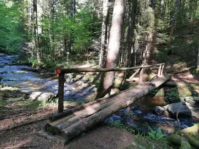 a wooden bridge over a stream in a forest at APARTMENTS ROGLA LUKANJA 1 in Oplotnica