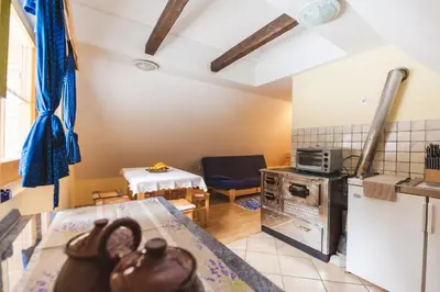 a kitchen with an old stove and a table at APARTMENTS ROGLA LUKANJA 1 in Oplotnica