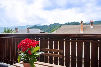 a pot of red flowers sitting on a balcony at Little Oasis Apartment in Zgornje Gorje