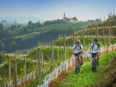 two people riding bikes down a hill in a vineyard at Holiday Home Urlaub für die Seele - Ferienhaus mit Sauna by Interhome in Rucmanci