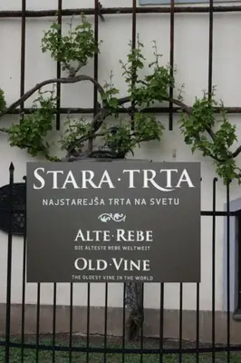 a sign on a fence with a plant at Holiday Home Urlaub für die Seele - Ferienhaus mit Sauna by Interhome in Rucmanci
