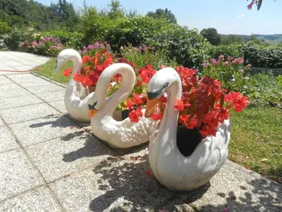 three white swans with flowers in a garden at Holiday Home Urlaub für die Seele - Ferienhaus mit Sauna by Interhome in Rucmanci