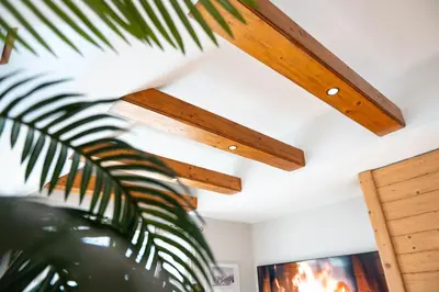 a ceiling with wooden beams in a room with a plant at Apartma Mauro in Kranjska Gora
